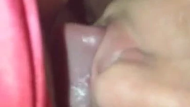 Леша пиздолиз работает языком